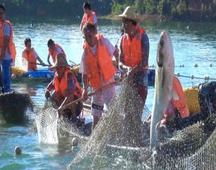 河源·客家渔歌--万绿湖开渔文化节两天游