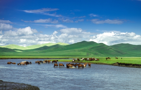 内蒙古 湖奢牧野 逐梦呼伦贝尔 六天游