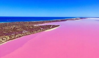 澳大利亚 西澳粉红湖 海上捕龙虾罗 特尼斯岛 八天游