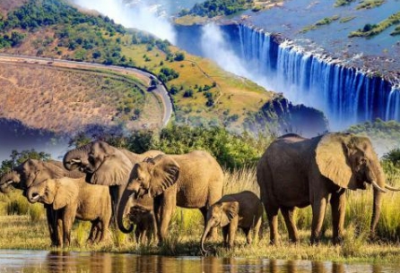 非洲 津巴布韦+赞比亚+肯尼亚 十三天游